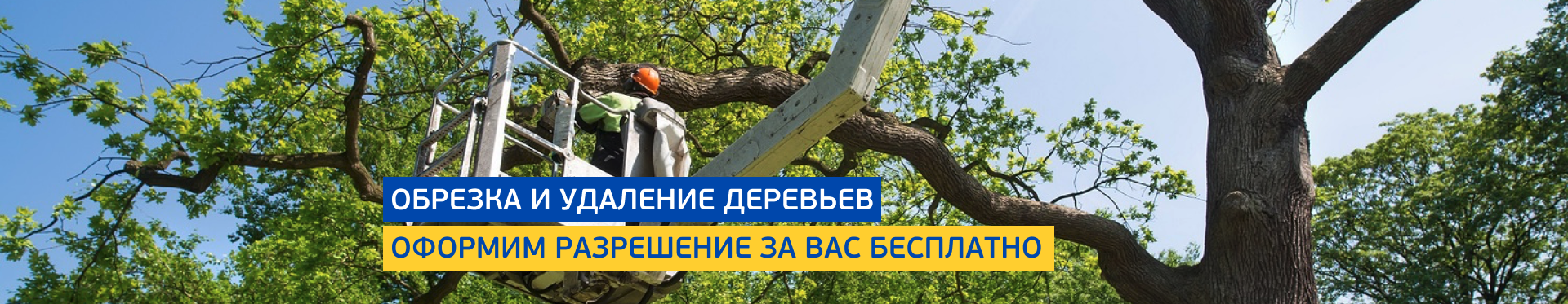Обрезка и снос деревьев