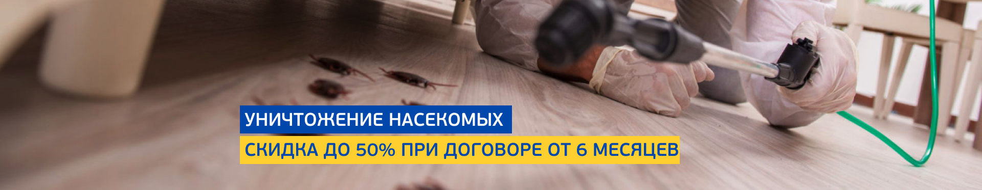 Уничтожение насекомых